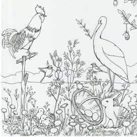 Раскраска "Птицы"