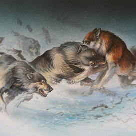 Один в поле не воин .