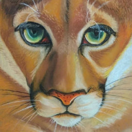 Большая загадка