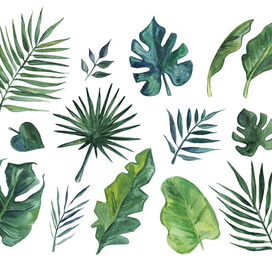 Набор тропических листьев