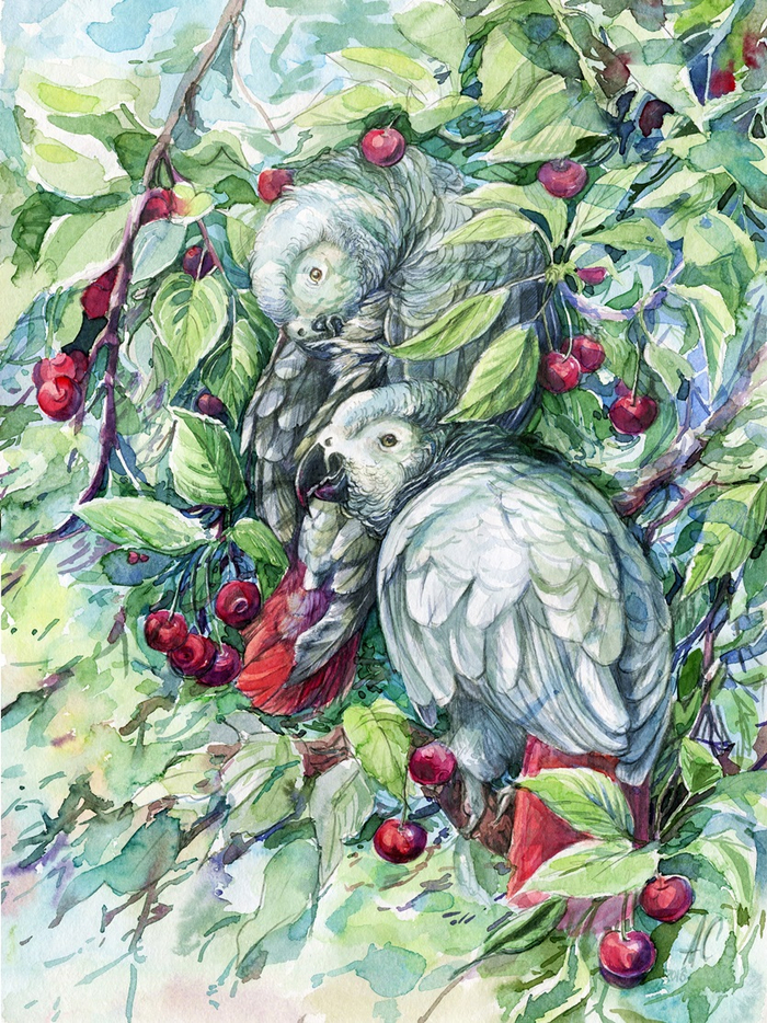 Приличные ребята