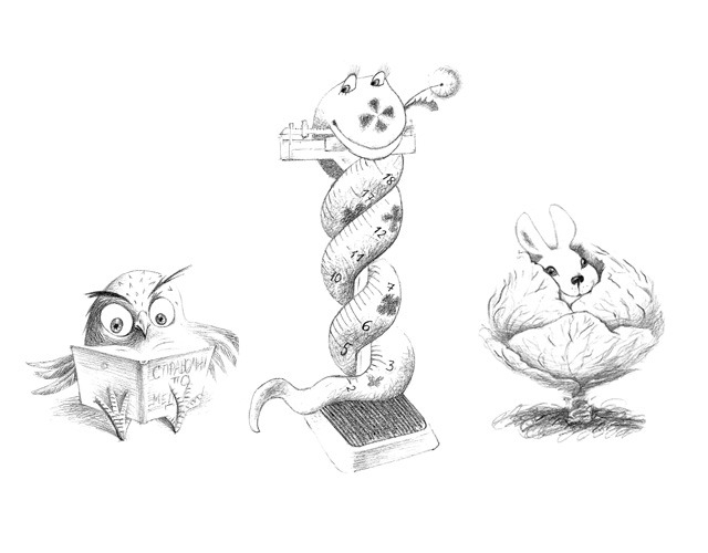 картинки на полях