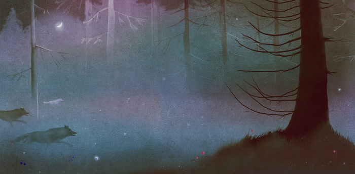 для Кенозерского национального парка