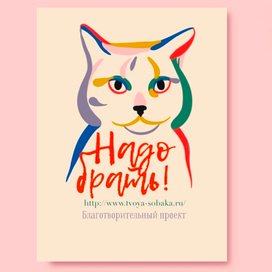 Надо брать!