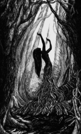 Тяга к свету