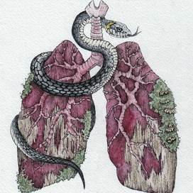 Дыхание Леса