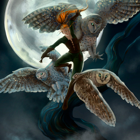 through the moonlight