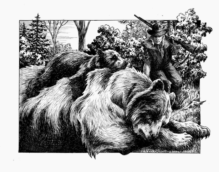 Смерть Медведицы