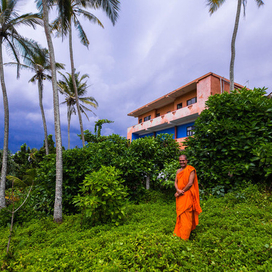 Кто укажет верный путь