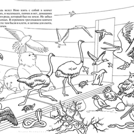 Ноев Ковчег. Познавательная книга-раскраска.