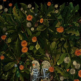 Майский одуванчик 