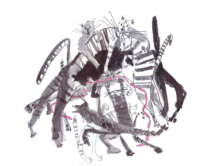 Клубок из котов 