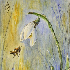 Подснежник