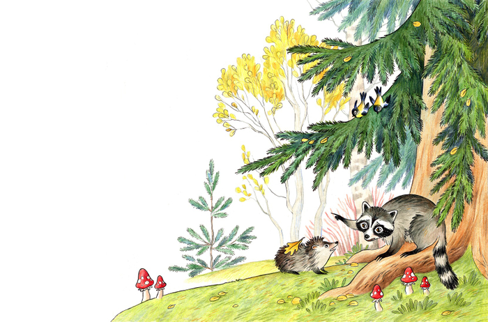 Обиженный енот