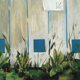 Божьи коровки