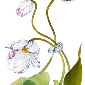 Акварельные цветы, украшения