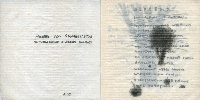 Книга «Естественный ход вещей» 2013