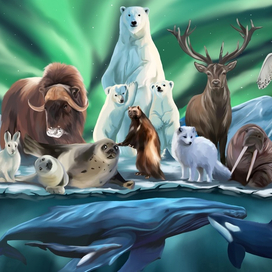 Животные севера