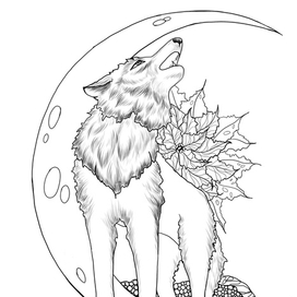 Раскраска "Северный волк и пуансеттия"