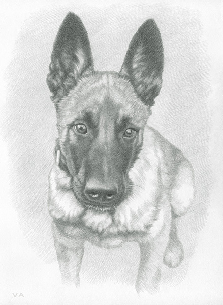 Ушки на макушке