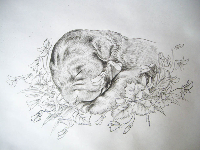 С днем рождения!