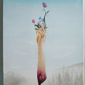 Жертвы зимы