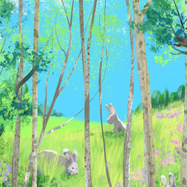 Лето в лесу