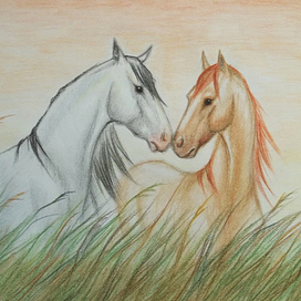 Просто лошадки в высокой траве