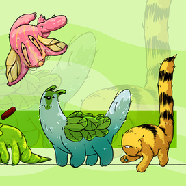 реликтовые обитатели дождевого леса