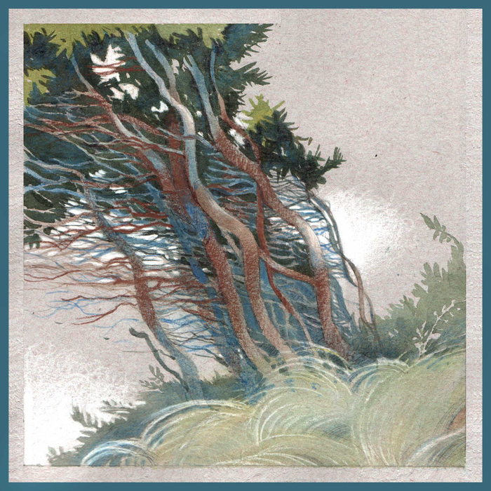 Ветер с моря