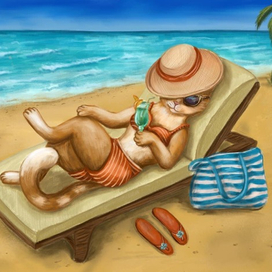 Кошка в отпуске