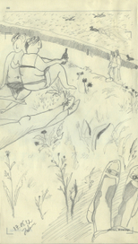 Девушки на пляже