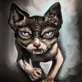 кошка в маске спешит на помощь