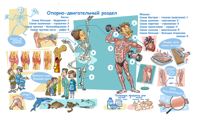 Оп.двиг - раздел