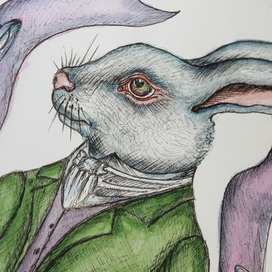 Белый кролик