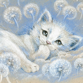 белый котёнок