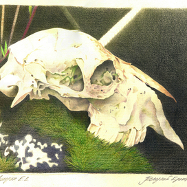 Последний единорог