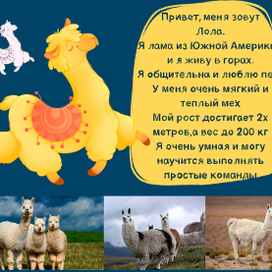 Карточки для Зоопарка