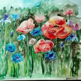 отклики лета