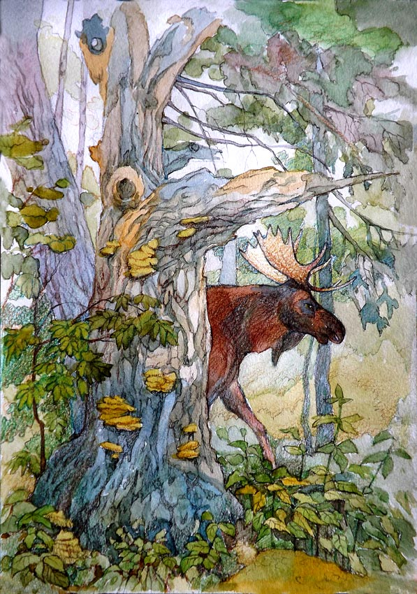 Лесные существа