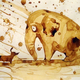 "Говорят, сегодня звездопад?"