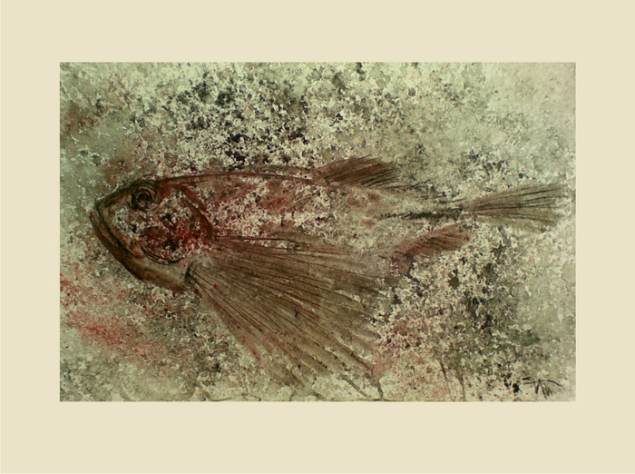 Весенний, но дурной и злющий подводный бычок