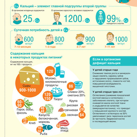 Инфографика