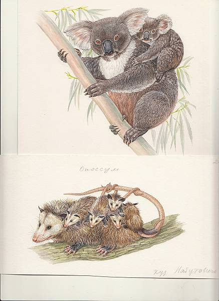 энциклопедия