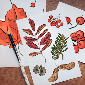 Серия иллюстраций и паттернов "Осень"