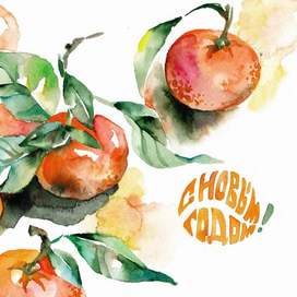 Новогодние мандарины