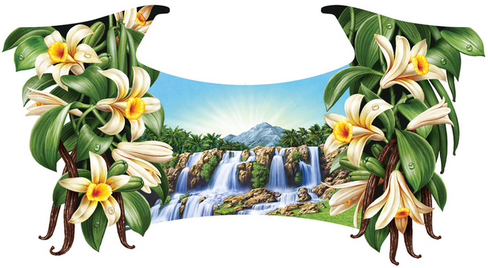 Иллюстрация для лимонада ТМ "Напитки из Черноголовки". Крем-сода.