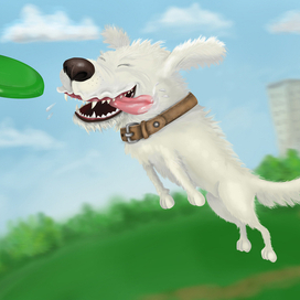 в погоне за фрисби