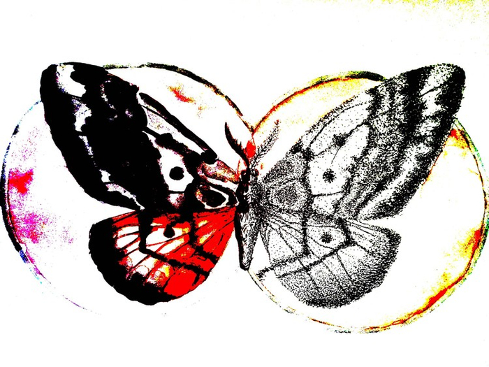 Мотылек 2. Мотылек. 2 мотылька. В. Мотылек 2.