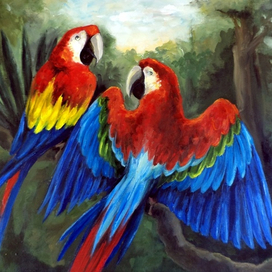 Parrots